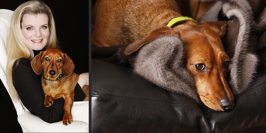 Elegantes Damenportrait mit Hund, Hundeportrait/ Tierportrait ©Sarosdy